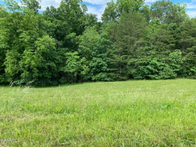 Lake Acreage For Sale in New Tazewell, Tennessee