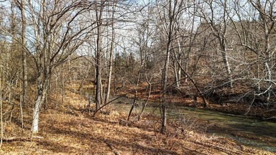 643 River Bottom Lane is a rare 15 acre riverfront retreat less - photo 14