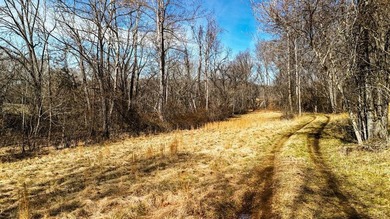 643 River Bottom Lane is a rare 15 acre riverfront retreat less - photo 20