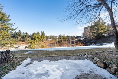 WONDERFUL VIEWS OF LAKEMICHIGAN...FROM ALL YOUR MAIN LIVING - photo 33