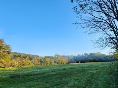 643 River Bottom Lane is a rare 15 acre riverfront retreat less - photo 38