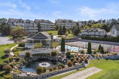 WONDERFUL VIEWS OF LAKEMICHIGAN...FROM ALL YOUR MAIN LIVING - photo 45