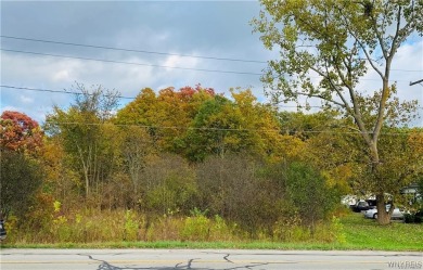 Lake Lot For Sale in Grand Island, New York