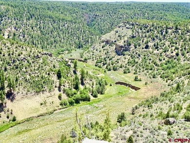 Greg Liddle, Hayden Outdoors LLC, C:,,: Totaling +/-2680 acres - photo 11