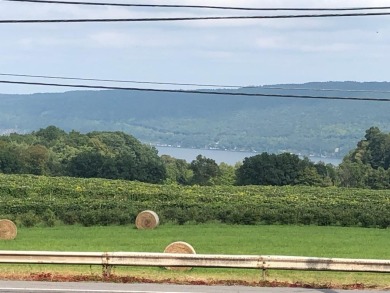 Canandaigua Lake Acreage For Sale in Naples New York