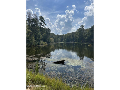 (private lake, pond, creek) Acreage For Sale in Brandon Mississippi