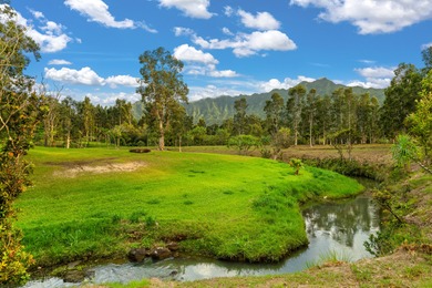 40-acre Ranch with flowing stream and a variety of expansive - photo 12