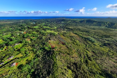 40-acre Ranch with flowing stream and a variety of expansive - photo 14