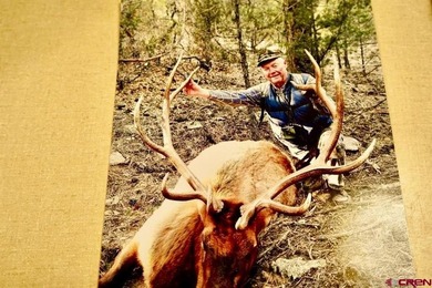 Greg Liddle, Hayden Outdoors LLC, C:,,: Totaling +/-2680 acres - photo 15