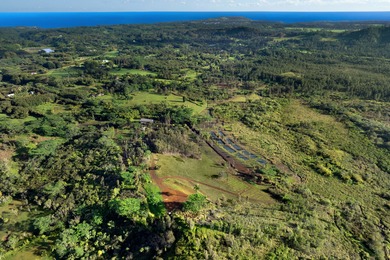40-acre Ranch with flowing stream and a variety of expansive - photo 15