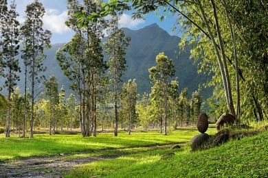 40-acre Ranch with flowing stream and a variety of expansive - photo 18