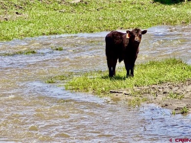 Greg Liddle, Hayden Outdoors LLC, C:,,: Totaling +/-2680 acres - photo 19