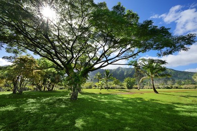 40-acre Ranch with flowing stream and a variety of expansive - photo 19