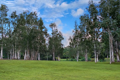 40-acre Ranch with flowing stream and a variety of expansive - photo 24