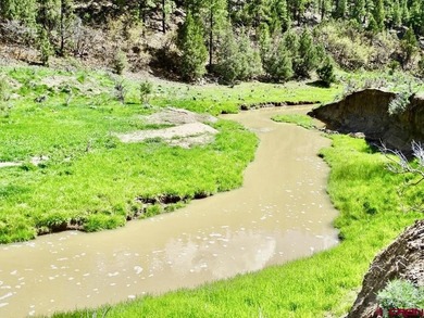 Greg Liddle, Hayden Outdoors LLC, C:,,: Totaling +/-2680 acres - photo 25