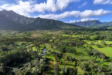 40-acre Ranch with flowing stream and a variety of expansive - photo 25