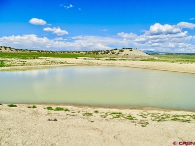 Greg Liddle, Hayden Outdoors LLC, C:,,: Totaling +/-2680 acres - photo 26