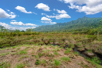 40-acre Ranch with flowing stream and a variety of expansive - photo 27