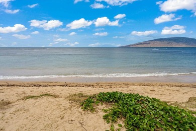 Oceanfront living in the heart of Kihei with panoramic views and - photo 29