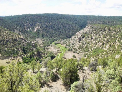 Greg Liddle, Hayden Outdoors LLC, C:,,: Totaling +/-2680 acres - photo 33