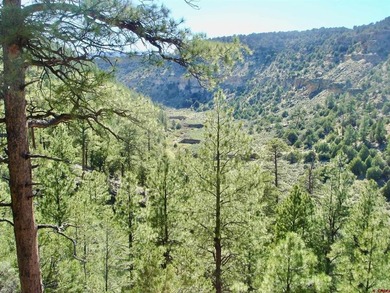 Greg Liddle, Hayden Outdoors LLC, C:,,: Totaling +/-2680 acres - photo 35