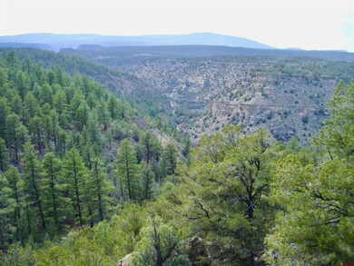 Greg Liddle, Hayden Outdoors LLC, C:,,: Totaling +/-2680 acres - photo 36