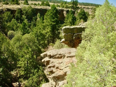 Greg Liddle, Hayden Outdoors LLC, C:,,: Totaling +/-2680 acres - photo 37