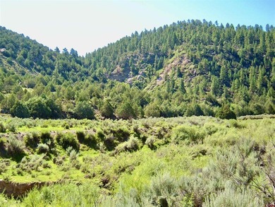 Greg Liddle, Hayden Outdoors LLC, C:,,: Totaling +/-2680 acres - photo 39