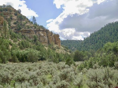 Greg Liddle, Hayden Outdoors LLC, C:,,: Totaling +/-2680 acres - photo 40