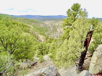 Greg Liddle, Hayden Outdoors LLC, C:,,: Totaling +/-2680 acres - photo 41
