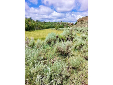 Greg Liddle, Hayden Outdoors LLC, C:,,: Totaling +/-2680 acres - photo 42