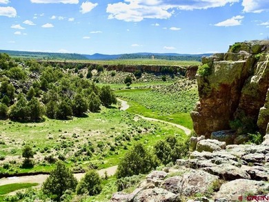 Greg Liddle, Hayden Outdoors LLC, C:,,: Totaling +/-2680 acres - photo 44