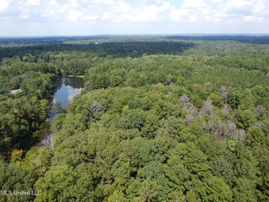 (private lake, pond, creek) Acreage For Sale in Brandon Mississippi