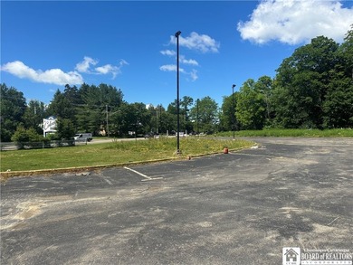 Prime 7-acre development opportunity located on highly traveled - photo 4