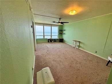Check out this Million Dollar View in this roomy 1 bedroom, 1 - photo 11