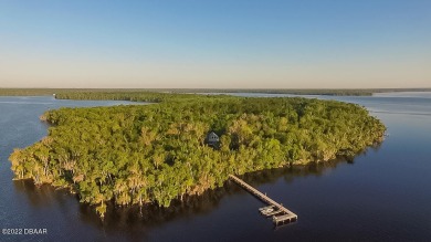 Lake George Home For Sale in Georgetown Florida
