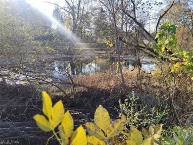 (private lake, pond, creek) Lot For Sale in Elyria Ohio