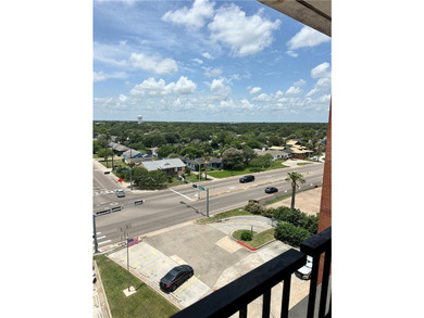 Check out this Million Dollar View in this roomy 1 bedroom, 1 - photo 17