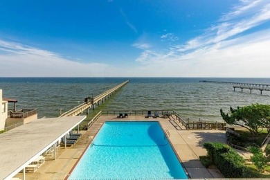 Check out this Million Dollar View in this roomy 1 bedroom, 1 - photo 18