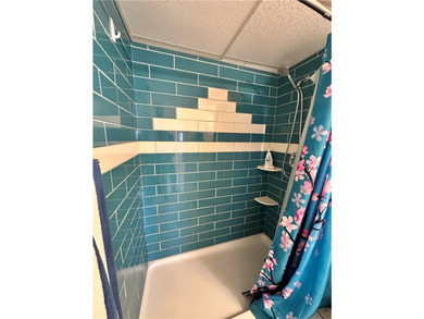 Check out this Million Dollar View in this roomy 1 bedroom, 1 - photo 28