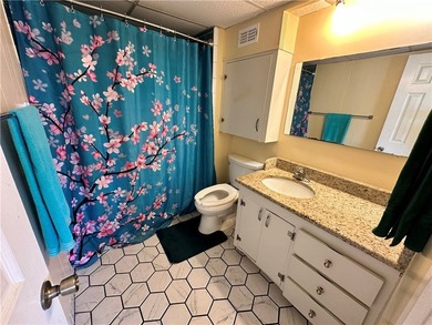 Check out this Million Dollar View in this roomy 1 bedroom, 1 - photo 29
