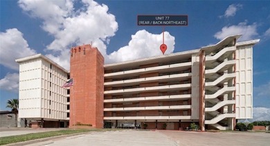 Check out this Million Dollar View in this roomy 1 bedroom, 1 - photo 30