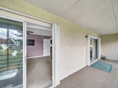 Beautiful Lakefront 55+ Condo with Resort-Style Living & Prime - photo 33