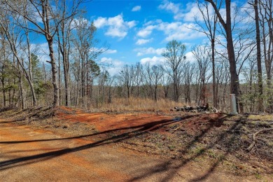 Lake Lot For Sale in Townville, South Carolina