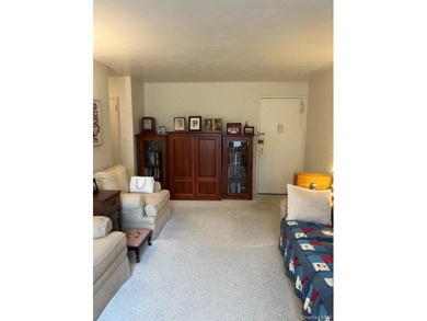A Lovely ,sunny.well maintained 1 bedroom ,1 bathroom ,galley - photo 3