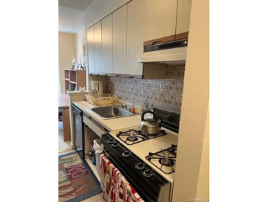 A Lovely ,sunny.well maintained 1 bedroom ,1 bathroom ,galley - photo 4