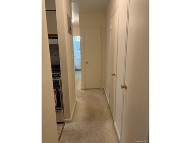 A Lovely ,sunny.well maintained 1 bedroom ,1 bathroom ,galley - photo 7