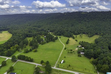Gorgeous 65+/- Acre Retreat in Springville! Nestled at the base - photo 11