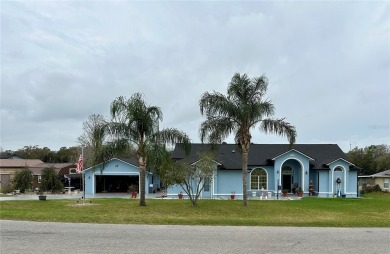 Lake Home For Sale in Belleview, Florida