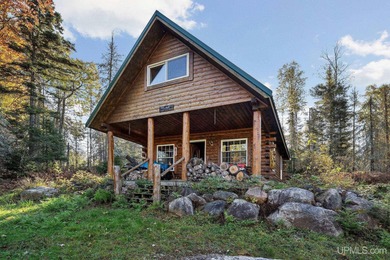 (private lake, pond, creek) Home For Sale in Republic Michigan